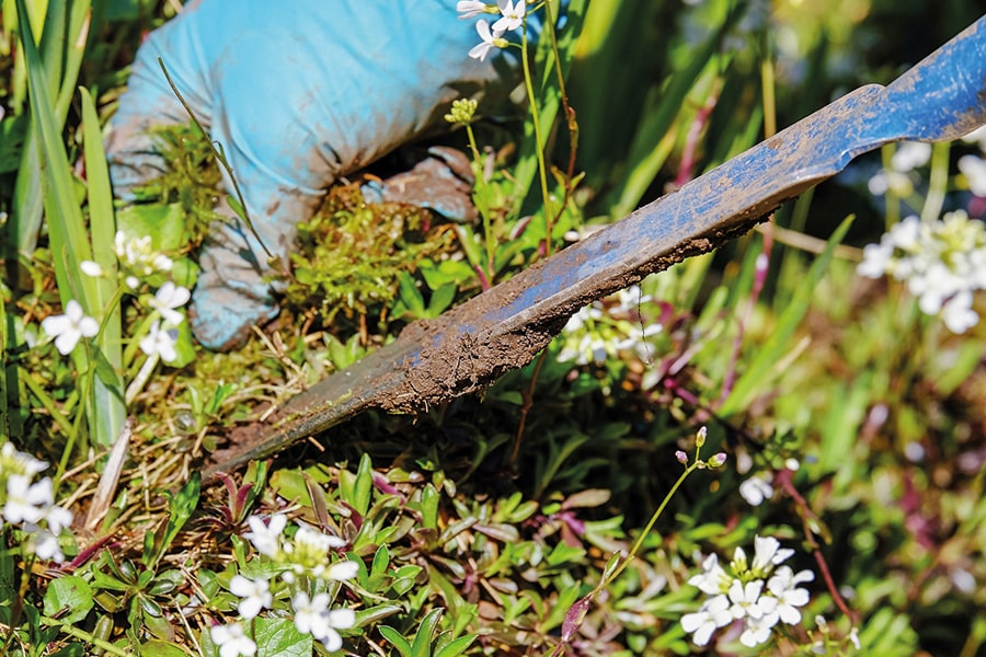 sickinger_gartenbau_Beseitigung unkraut