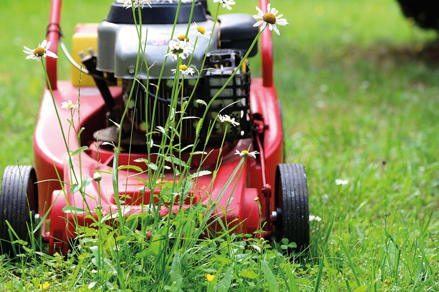 sickinger_gartenbau_Rasenmähen