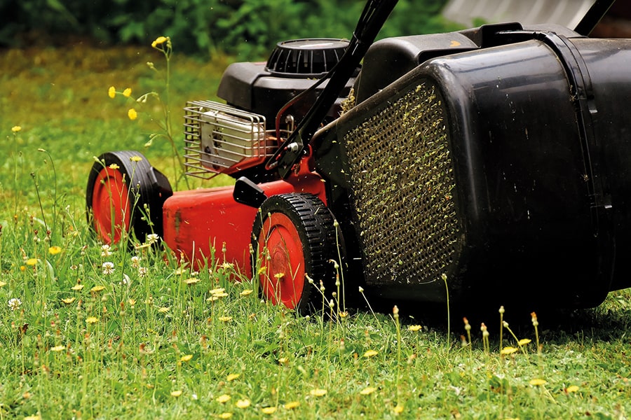 sickinger_gartenbau_Rasenschnitt