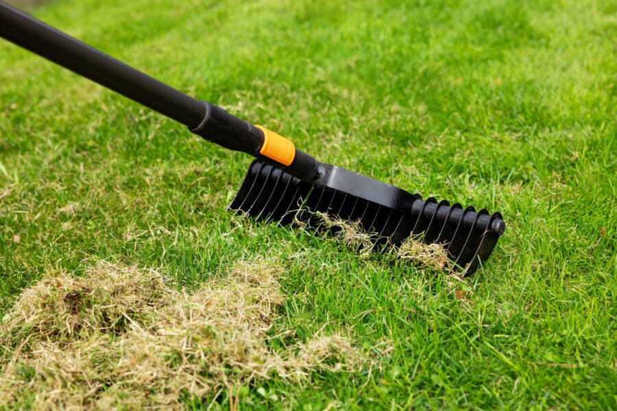 sickinger_bau_garten_vertikutierung